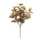 Melrose Variegated Foliage Plant (Set of 6)