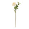 Melrose Dahlia Flower Stem (Set of 6)