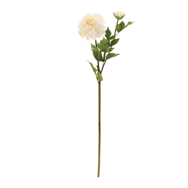 Melrose Dahlia Flower Stem (Set of 6)