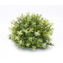 Melrose Varigated Mini Leaf Half Orb (Set of 6)