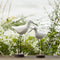 Melrose Carved Wood Sea Bird with Metal Stand (Set of 2)