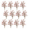 Melrose Berry Spray (Set of 12)