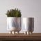 Melrose Modern Pine Tree Planter with Legs (Set of 2)