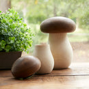 Melrose Wood Mushroom Box Decor (Set of 2)