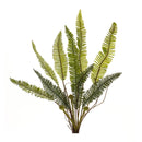 Melrose Varigated Fern Foliage Bush (Set of 6)