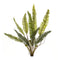 Melrose Varigated Fern Foliage Bush (Set of 6)