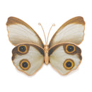 Melrose Amber Butterfly and Moth Shelf Sitter (Set of 2) Multicolor