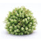 Melrose Foliage Half Orb (Set of 2)