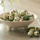 Melrose Green Pod Foliage Bundle (Set of 2)