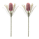 Melrose Protea Floral Stem (Set of 2)