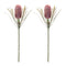 Melrose Protea Floral Stem (Set of 2)