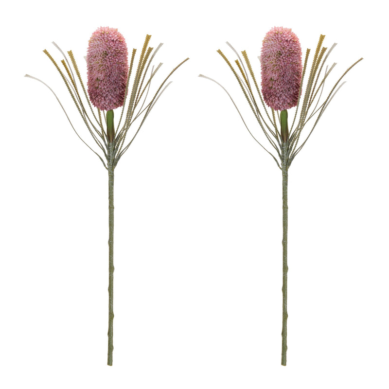 Melrose Protea Floral Stem (Set of 2)