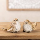 Melrose Carved Leaf Bird Figurine (Set of 2) Multicolor Decor Home Accent
