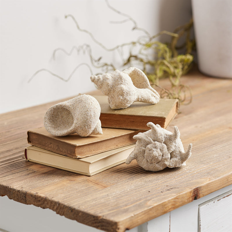 Melrose Sea Shell Filler Decor (Set of 12)