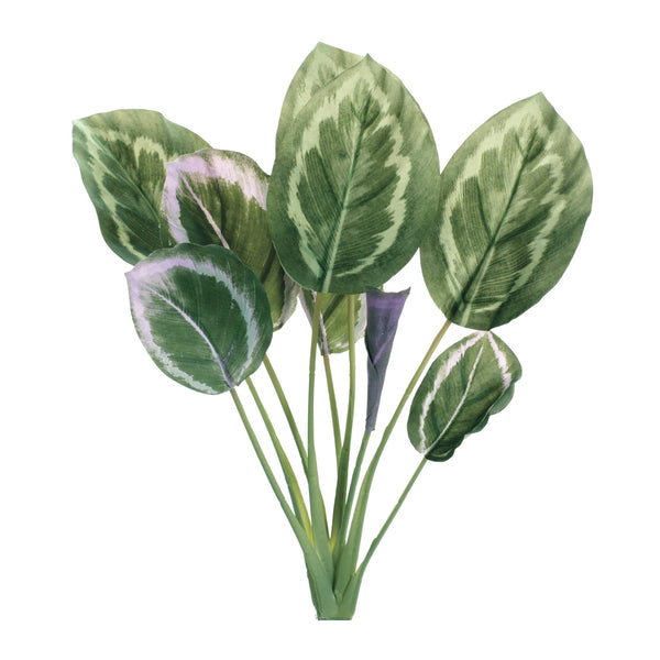 Melrose Prayer Plant Foliage Bush (Set of 6)