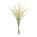 Melrose Foxtail Bundle (Set of 6)