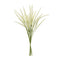 Melrose Foxtail Bundle (Set of 6)