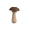 Melrose Glittered Mushroom Decor (Set of 2)