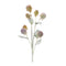 Melrose Thistle Foliage Spray (Set of 6)