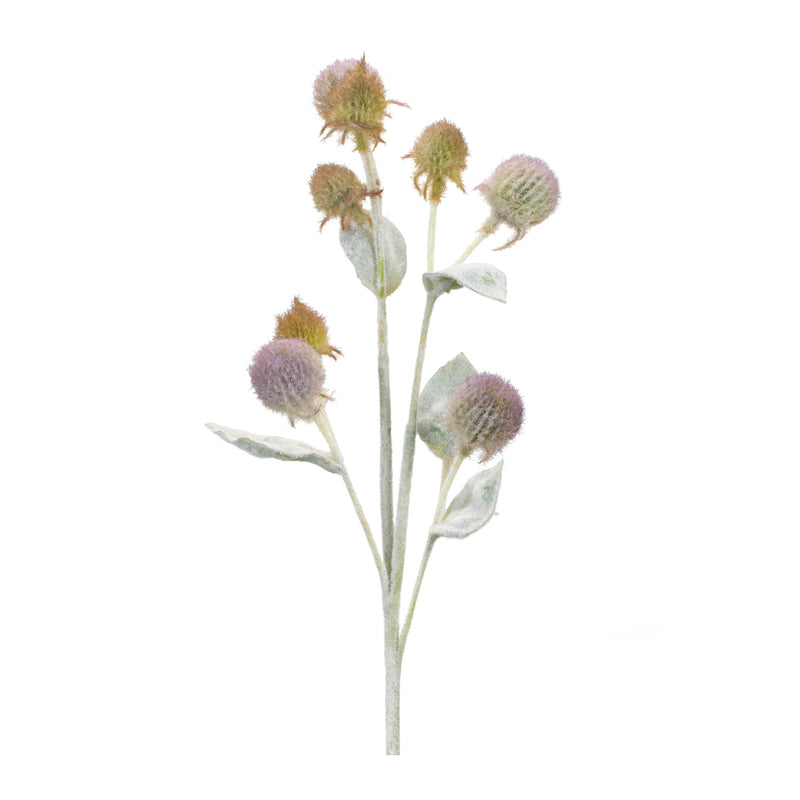 Melrose Thistle Foliage Spray (Set of 6)