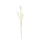 Melrose Bunny Tail Spray (Set of 6)