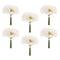 Melrose Gerbera Daisy Floral Bundle (Set of 6)