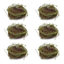 Melrose Twig Bird Nest with Moss (Set of 6)