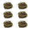 Melrose Twig Bird Nest with Moss (Set of 6)