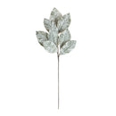 Melrose Frosted Winter Magnolia Leaf Spray (Set of 6)