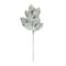 Melrose Frosted Winter Magnolia Leaf Spray (Set of 6)