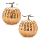 Melrose LED Mercury Glass Pumpkin Decor (Set of 2) Multicolor Farmhouse Glass LE