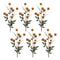Melrose Thistle Pod Branch (Set of 6)