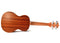 Twisted Wood PI-100C Pioneer Concert Ukulele Laminate Sapele w/ Gig Bag