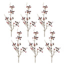 Melrose Berry Pod Spray (Set of 6)