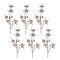 Melrose Berry Pod Spray (Set of 6)