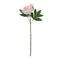 Melrose Peony Floral Spray (Set of 6)