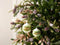 Melrose Beaded Glass Ball Ornament (Set of 6)