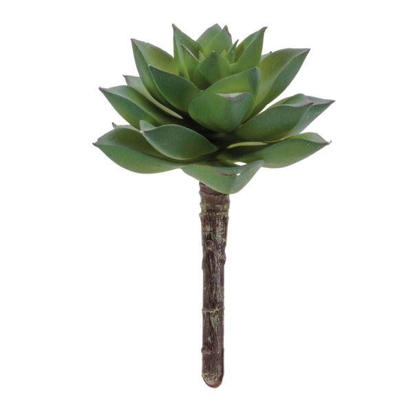 Melrose Succulent Plant Pick (Set of 12)
