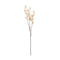 Melrose Seeded Eucalyptus Stem (Set of 2)