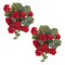 Melrose Hanging Geranium Floral Bush (Set of 2)