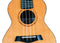 Twisted Wood SE-900C Sierra Concert Ukulele Cedar Top Koa B&S w/ Gig Bag