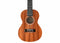 Twisted Wood PI-100T Pioneer Tenor Ukulele Laminate Sapele w/ Gig Bag