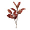 Melrose Fall Magnolia Leaf Spray (Set of 6)