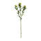 Melrose Green Thistle Floral Spray (Set of 6)