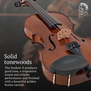 Stentor 4-String 4/4 Violin w/ Red Case (1500 4/4) - New Open Box