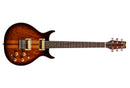Washburn H10TS Wing Series Hawk Electric Guitar Tobacco Sunburst