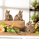 Melrose Bunny (Set of 3) 4.5"H, 4.75"H, 5"H Brown Resin