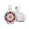 LM-IMAGE-136019536-
