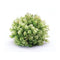 Melrose Foliage Half Orb (Set of 2)
