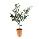 Melrose Potted Olive Tree Topiary 22"H